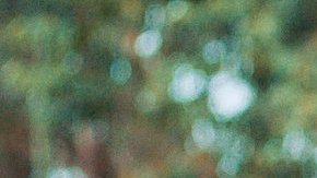 attachment-647bf44ddc755730b947bdc3