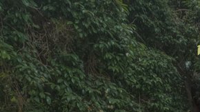 attachment-669962b6ab49eb52973dd3b4