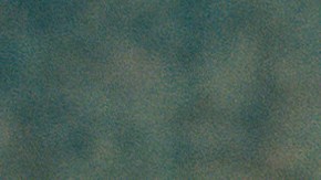 Captured by Evan WillIam