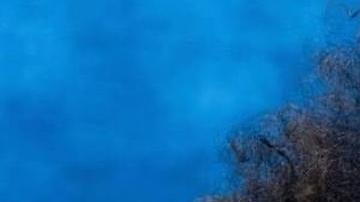 Image_1200px_Requirement