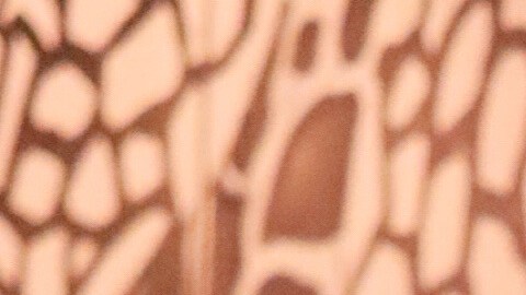 KingCooley_GoodNightATLs_Credit-Cotavation_1